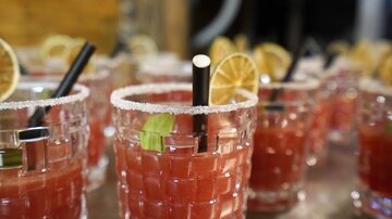 A variety of cocktails in glass cups with a sugar rim. Each drink is decorated with a lemon slice and a straw.