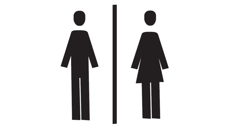 A sign with two pictograms representing men and women. It symbolizes access to separate sanitary facilities.