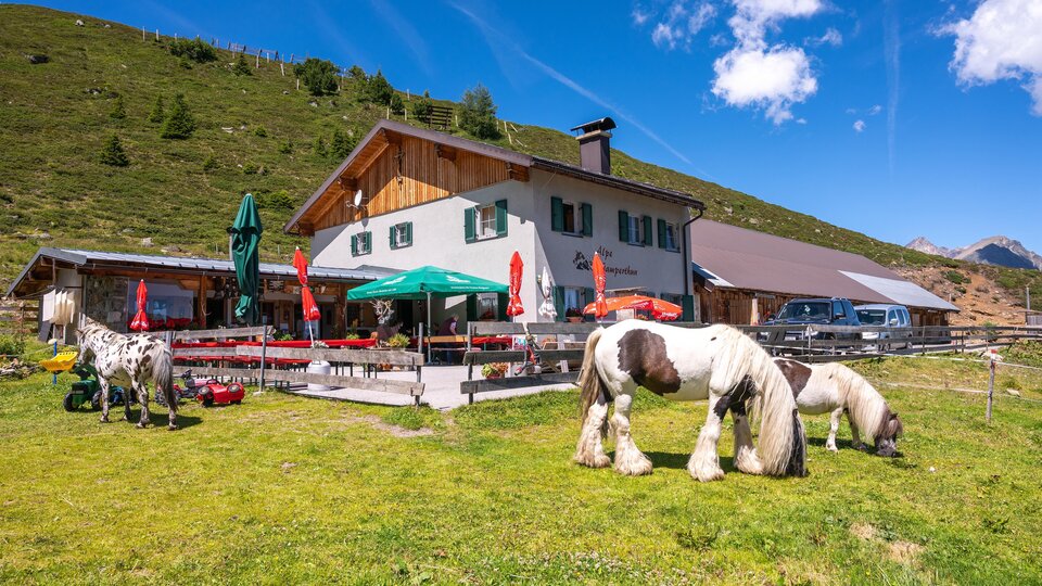 Eine idyllische Almhütte umgeben von grünen Wiesen. Pferde grasen friedlich neben der Hütte unter einem klaren blauen Himmel.
