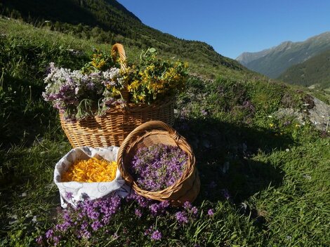 A basket with colorful flowers is standing on a meadow in the mountains. Around it are more small baskets with bright blossoms and leaves.