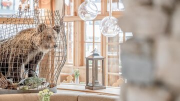 Ein Bär in einem Käfig steht in einem hellen Raum mit großen Fenstern. Im Vordergrund sind dekorative Elemente wie eine Laterne und Pflanzen zu sehen.