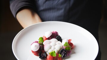 Ein schöner Teller mit frischen Beeren und cremigen Häufchen. Das Gericht ist ansprechend angerichtet und wird von einer Person präsentiert.