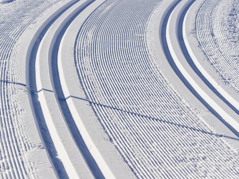 A freshly groomed cross-country ski trail in the snow. The tracks wind gracefully through the winter landscape.