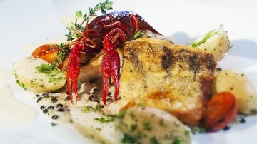 Ein lecker angerichtetes Gericht mit Fisch, einer Krebsbeilage und Gemüseelementen. Es ist mit Kräutern garniert und wirkt ansprechend und frisch.
