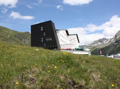 A modern building in the mountains, surrounded by green meadows and blooming flowers. In the background, majestic mountains and a blue sky can be seen.